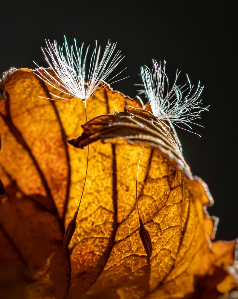 Photograph by Марина Новожилова