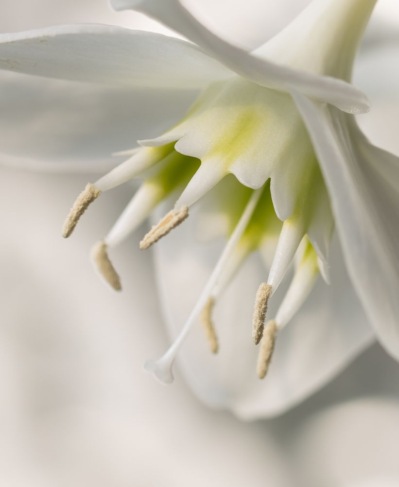 Photograph by Марина Новожилова