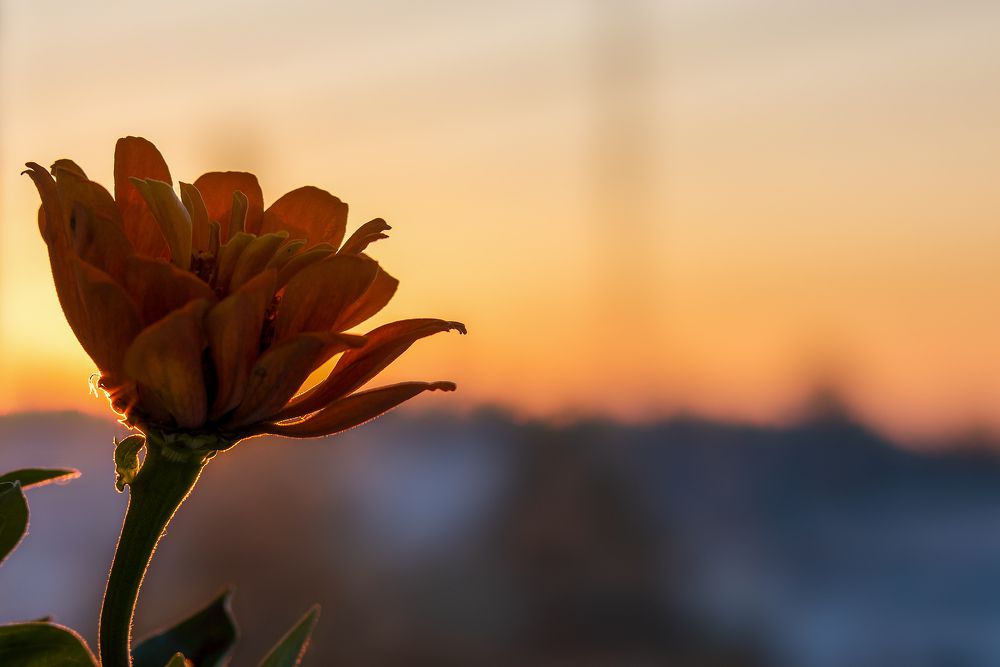 Photograph by Кадырова Марина