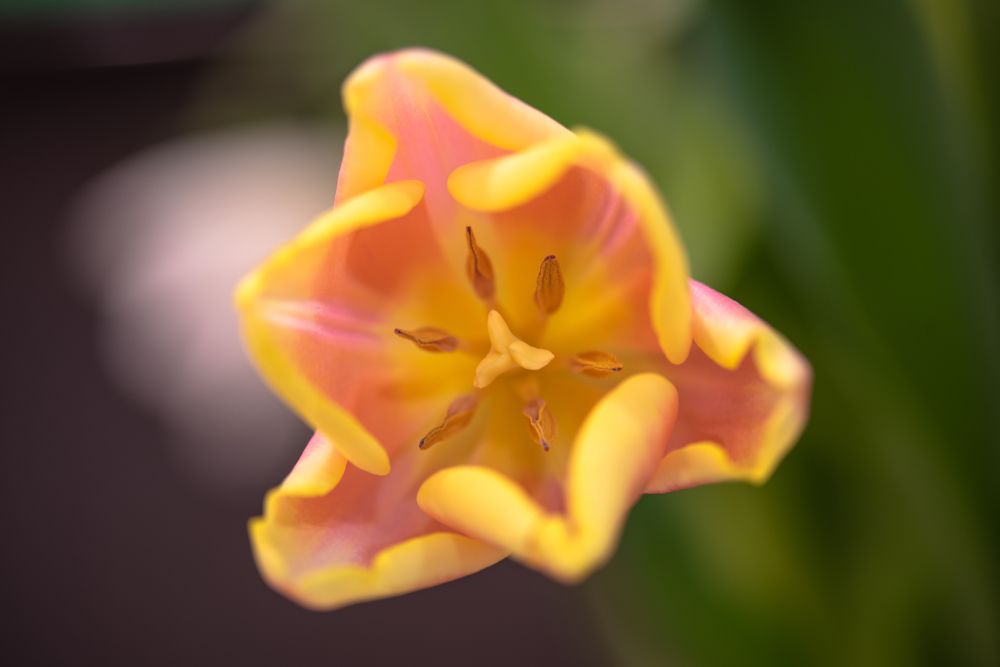 Photograph by Кадырова Марина