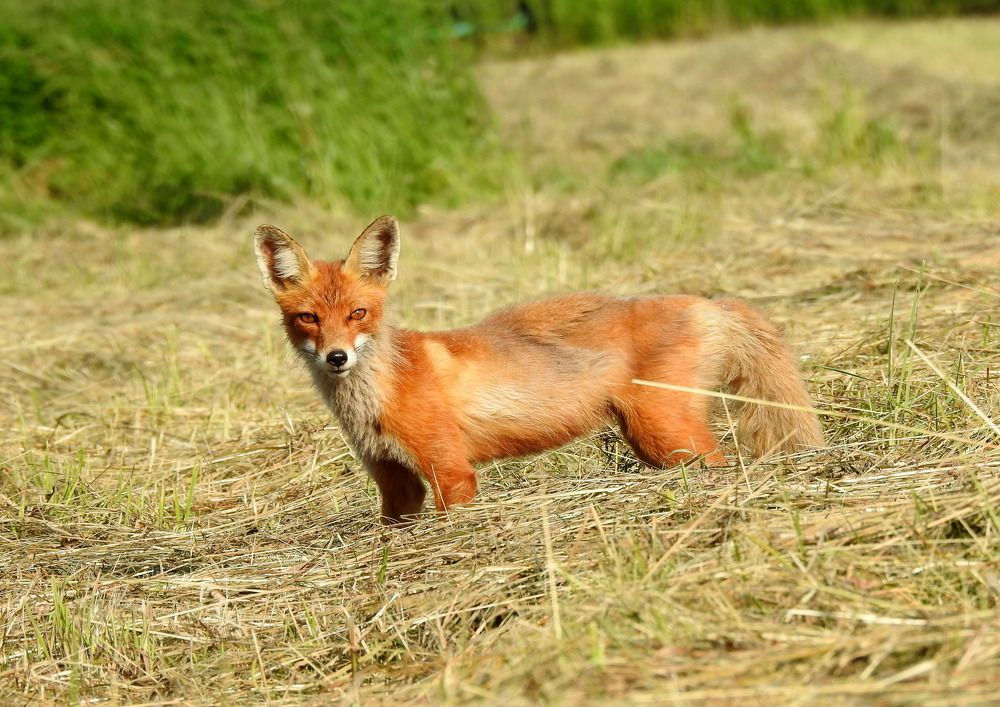 Photograph by Татьяна Калугина