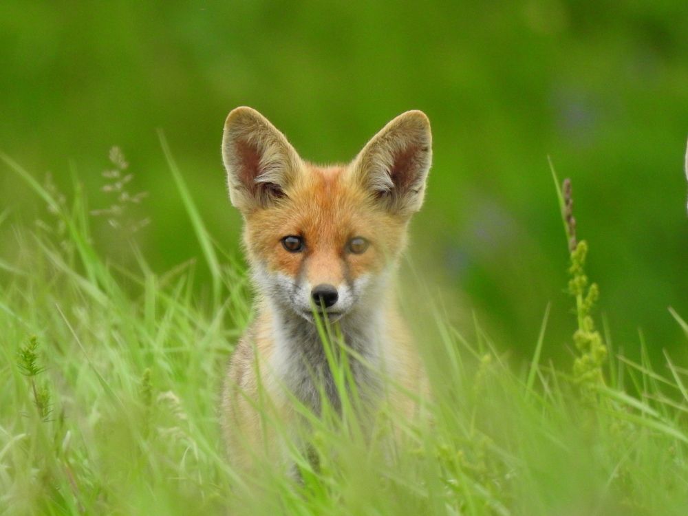 Photograph by Татьяна Калугина