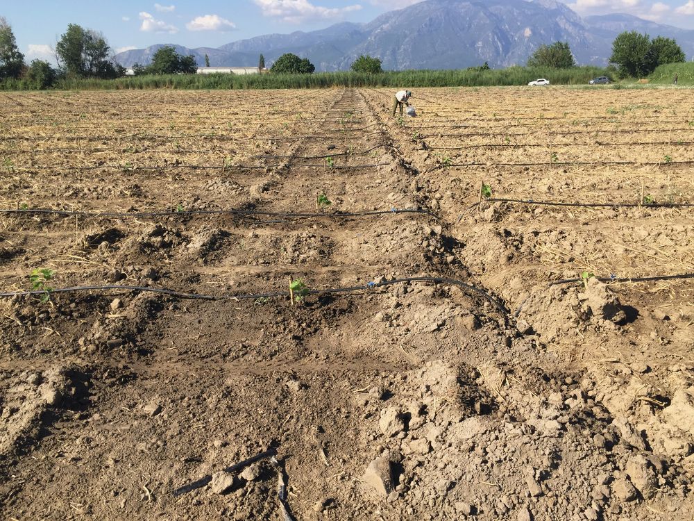 Photograph by Ahmet Aka