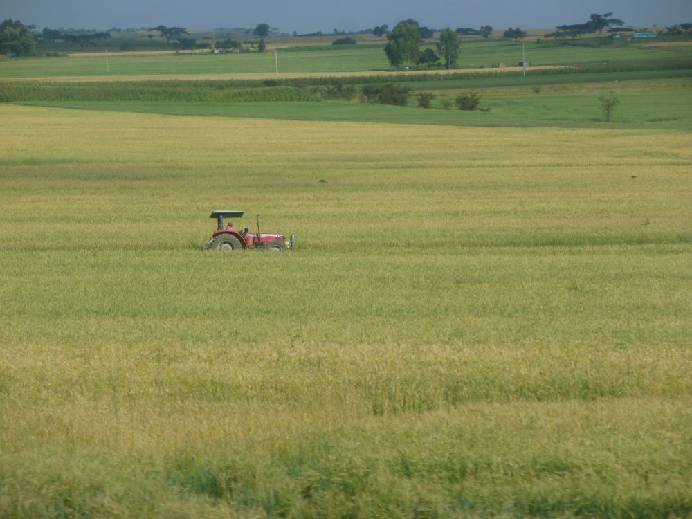 Photograph by Ahmet Aka