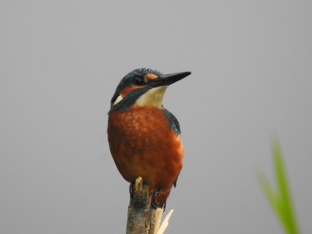 Photograph by Татьяна Калугина