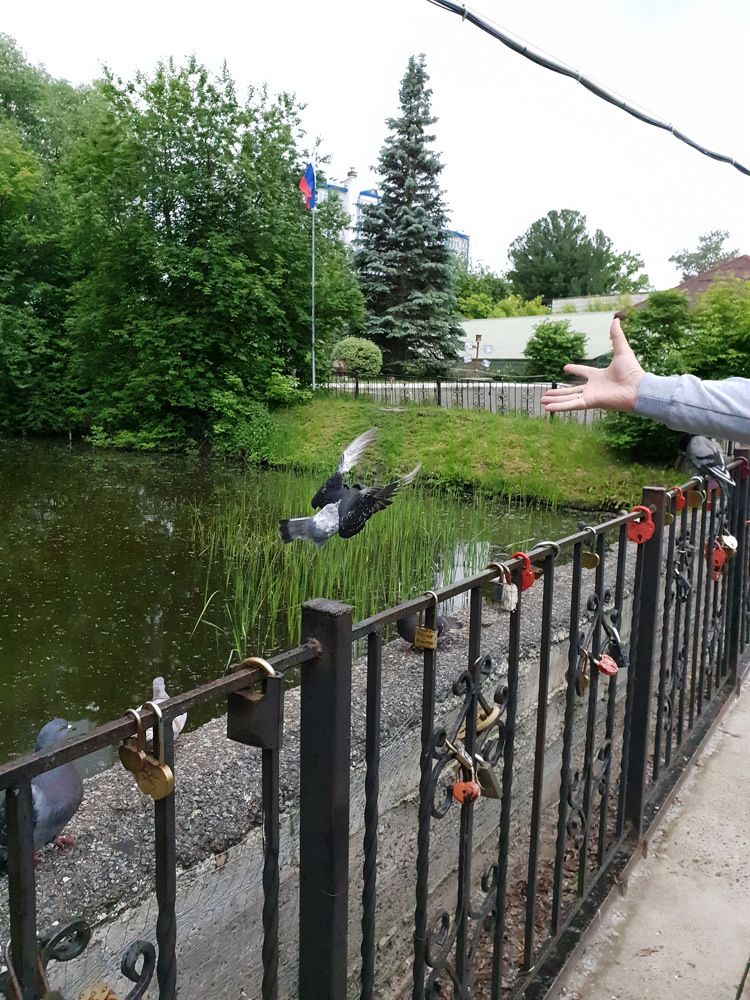 Photograph by Николай Головко