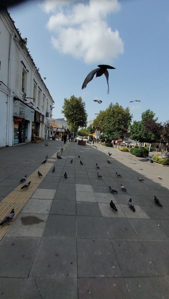 Photograph by Rahele Almassi