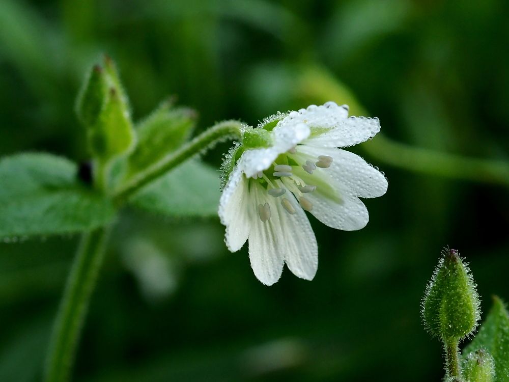 Photograph by Елена Харитонова