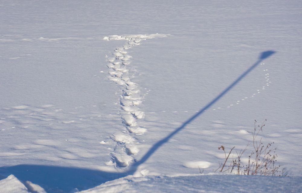 Photograph by Галина Бехметьева