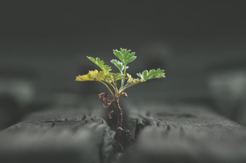 Photograph by Gabriel Wolf