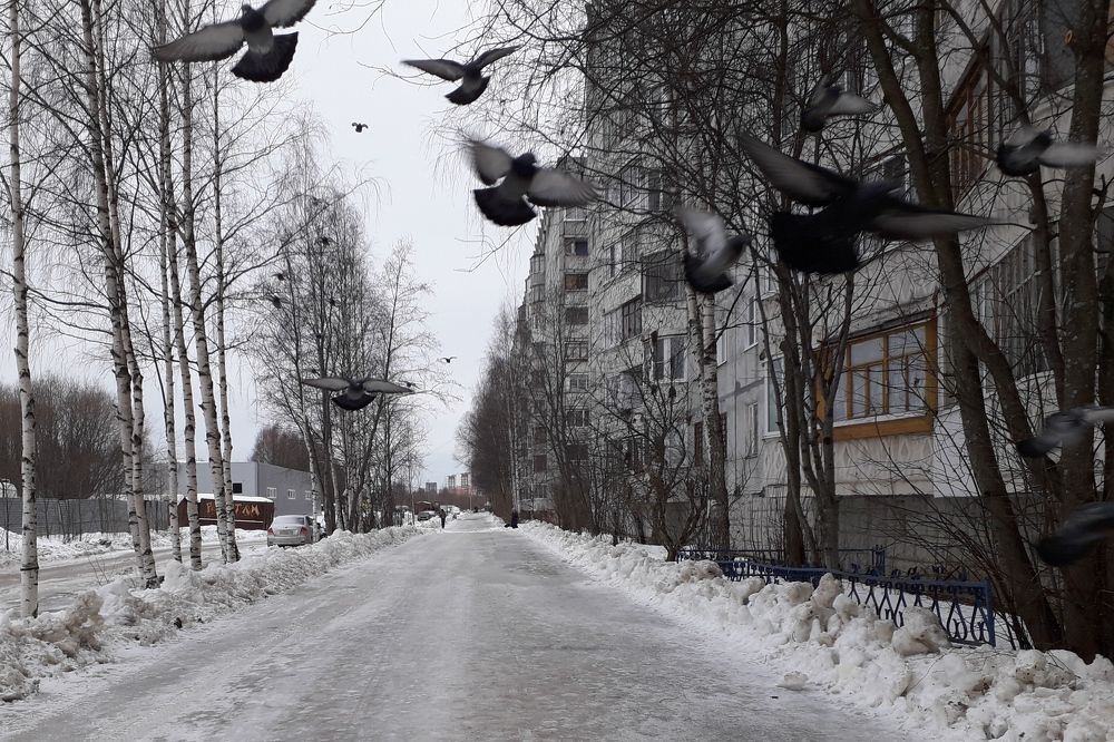 Photograph by Ольга Березовская