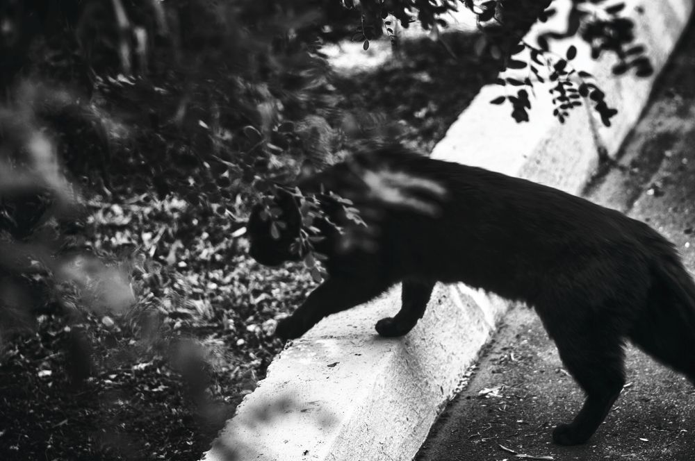 Photograph by Gabriel Wolf