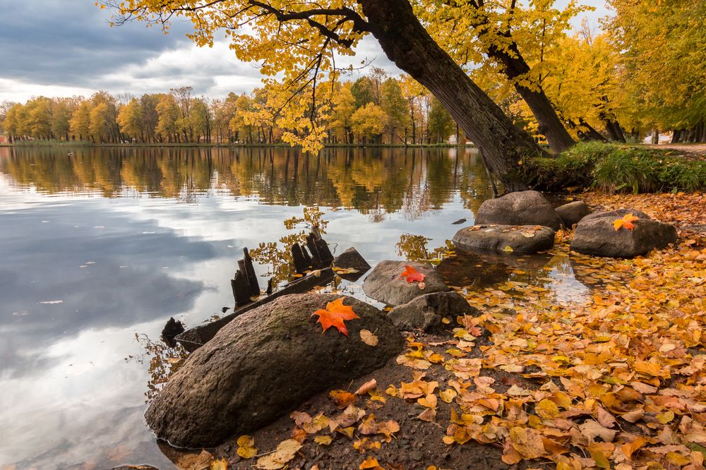 Photograph by Andrius