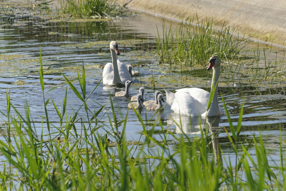 Photograph by Лилия Кондратьева