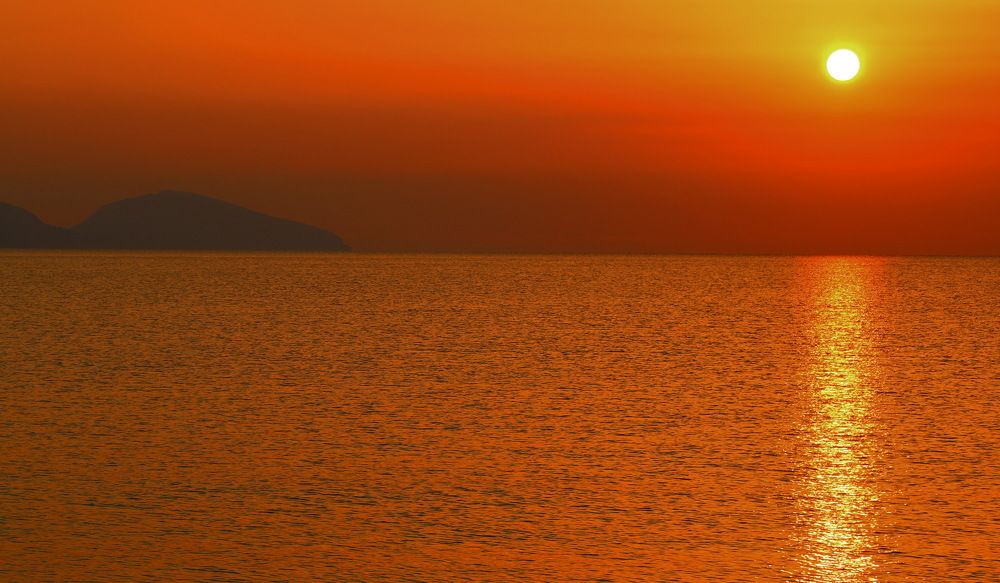 Photograph by 