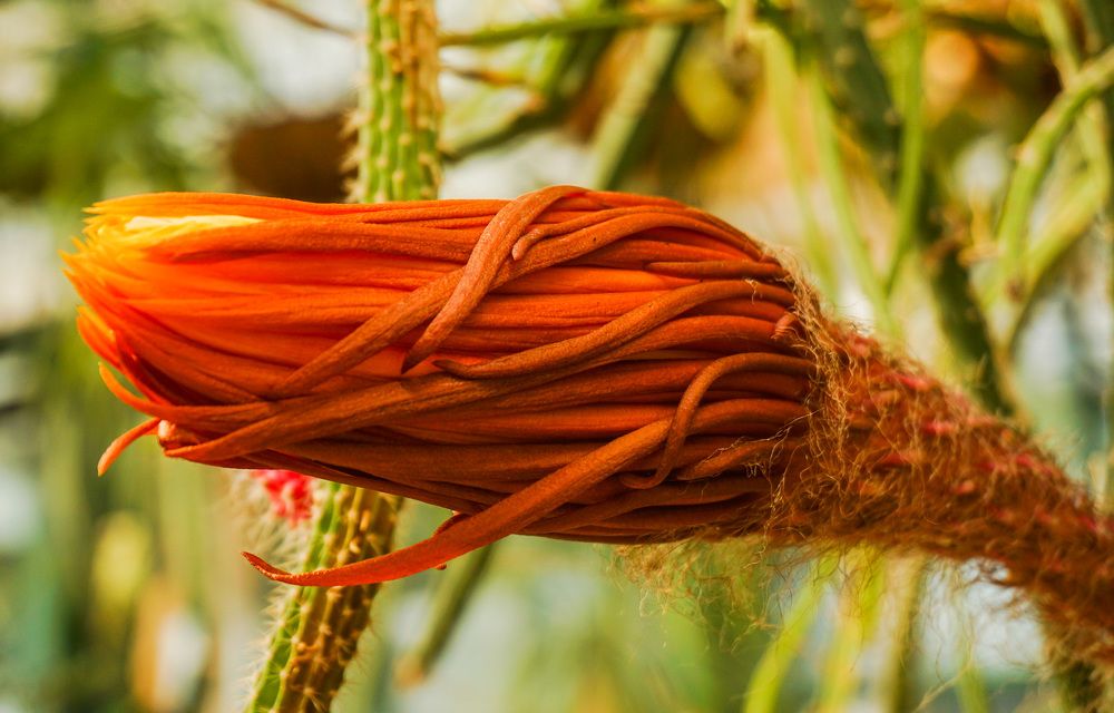 Photograph by Галина Бехметьева