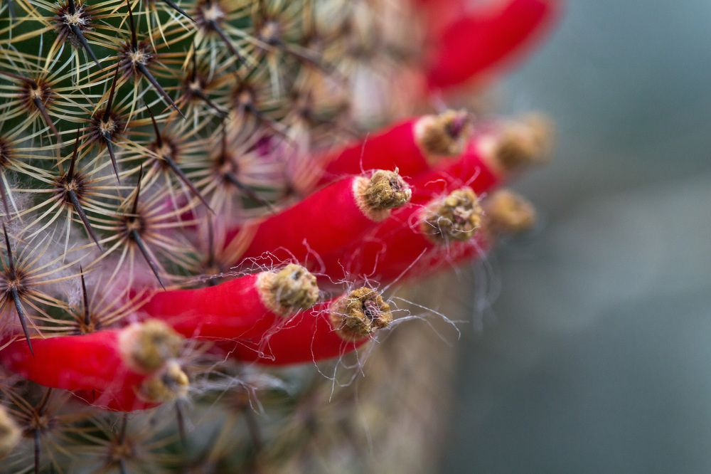 Photograph by Natalya Snegovaya