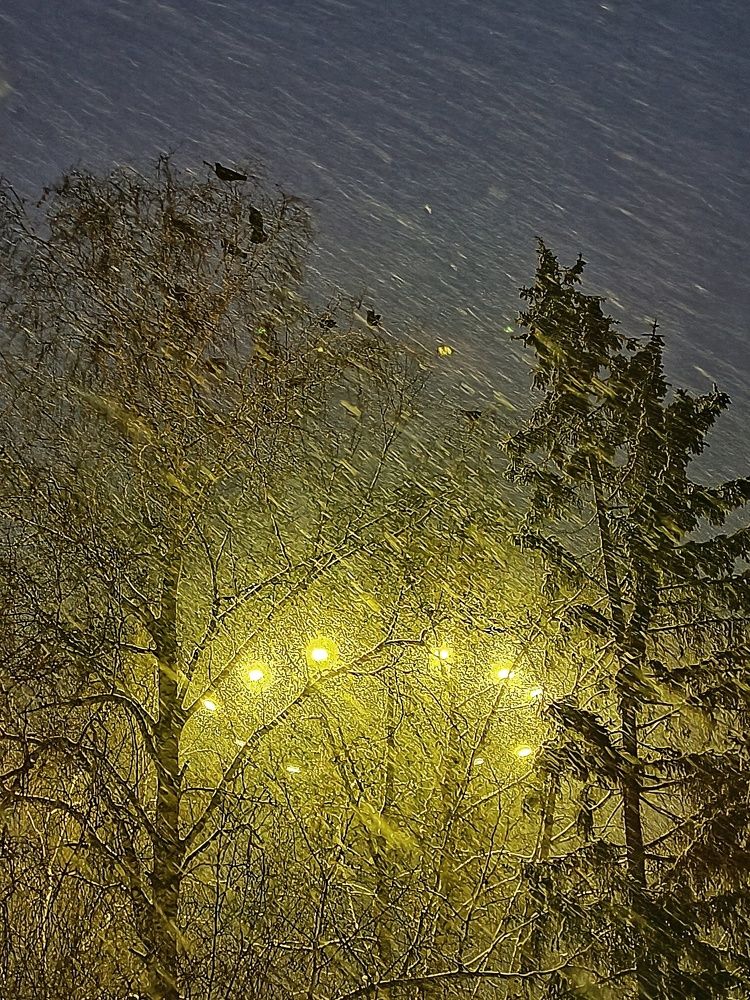 Photograph by Светлана Андреева