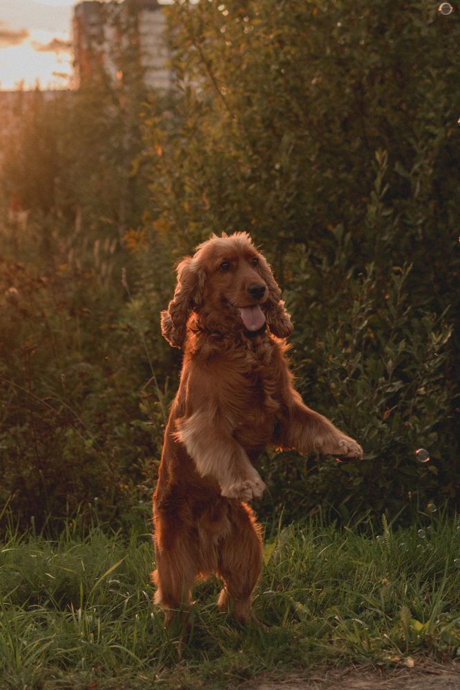 Photograph by Анастасия Каленько