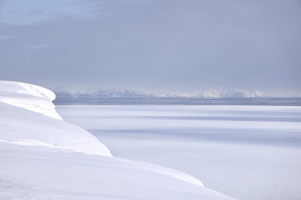 Photograph by Евгения Казакова