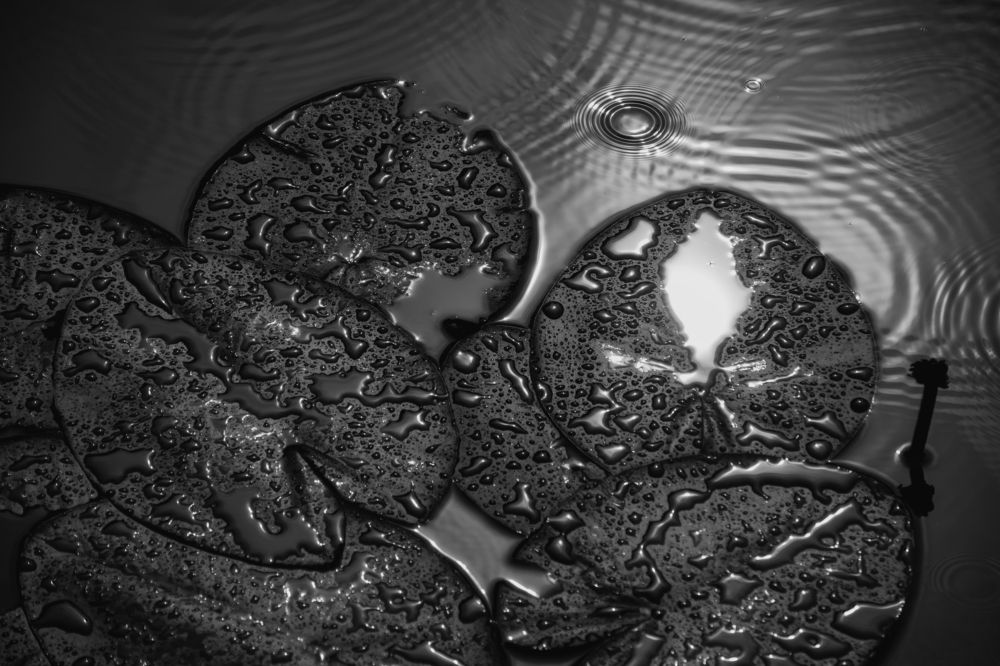 In harmony with nature