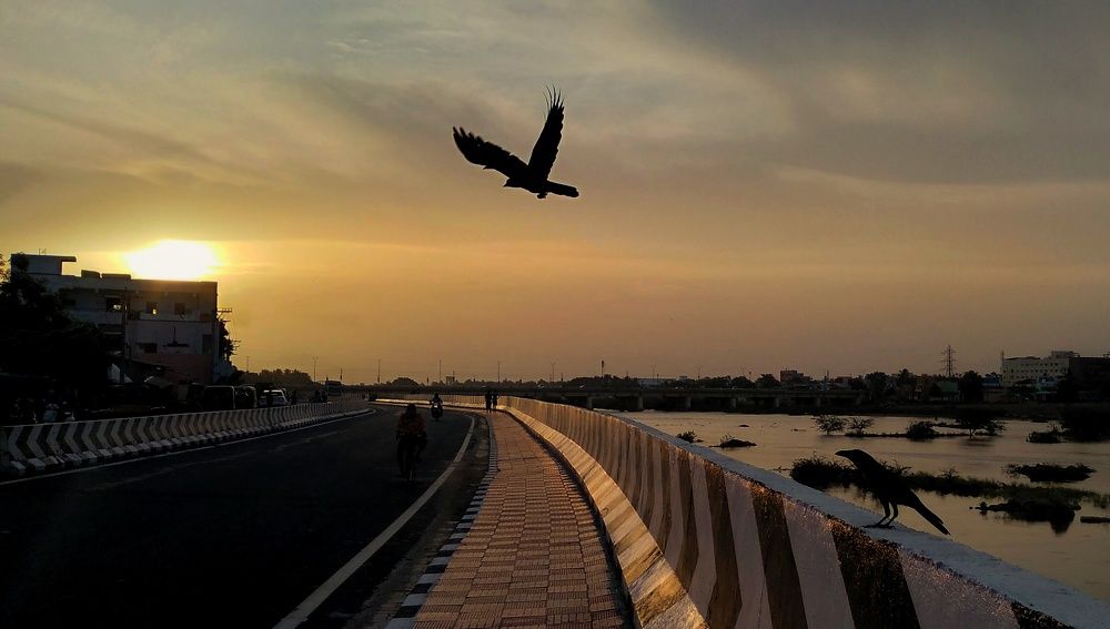 Photograph by SARAVANA MANICKAM