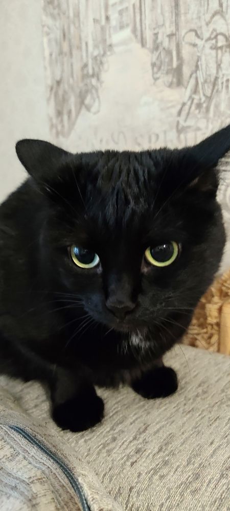 Photograph by Валентин Волк