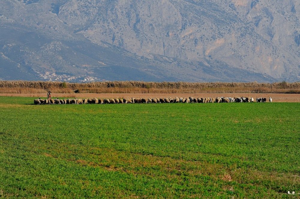 Photograph by Geo Lib