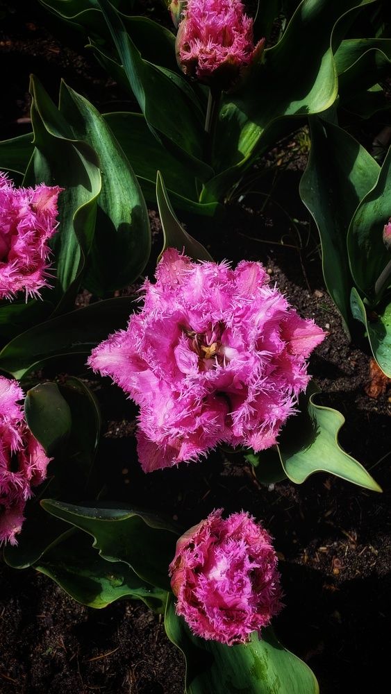 Photograph by Наталия Дроздова