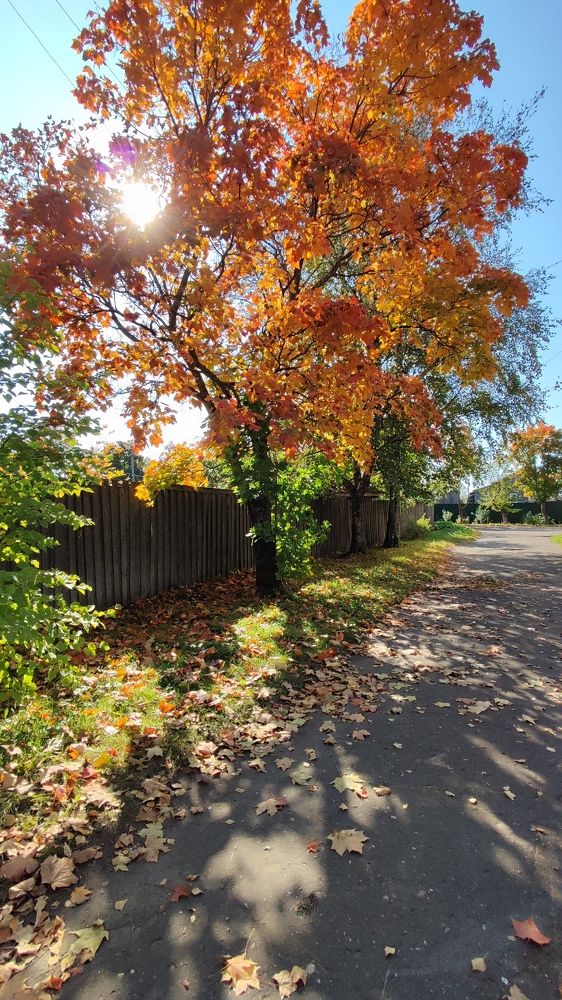 Photograph by Марина