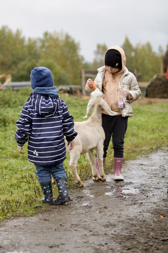 Photograph by Елена Ковалева