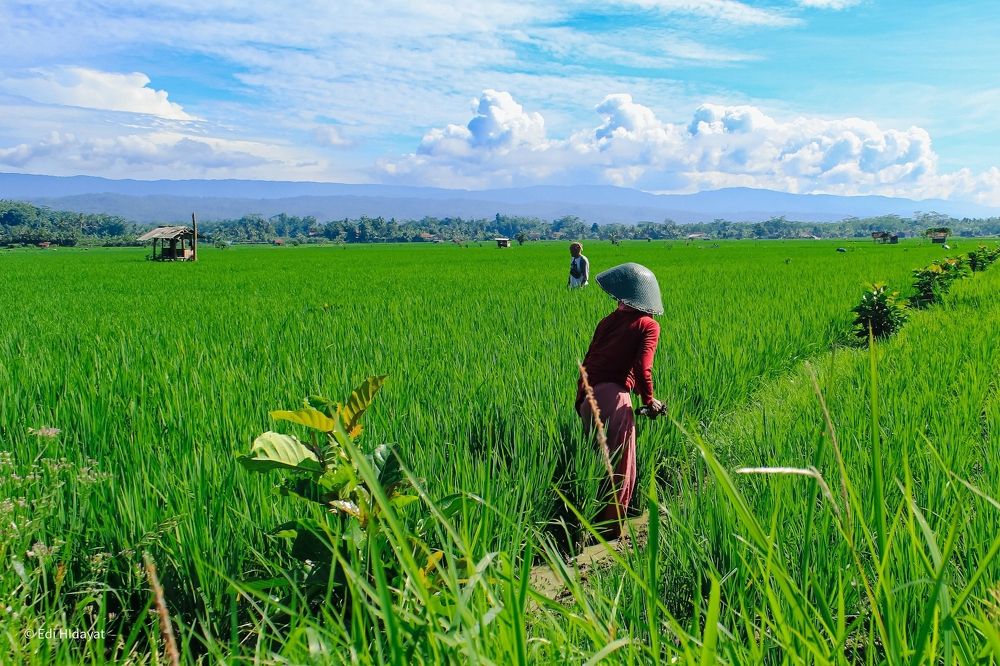 Photograph by Edi Hidayat