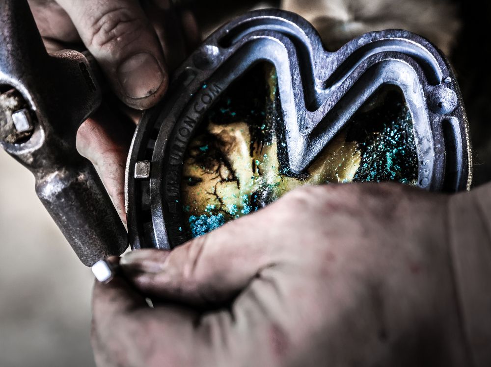 Фотография автора Nadina Ironia