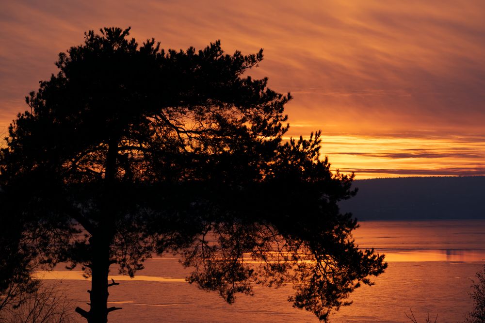 Photograph by Елена Амозова