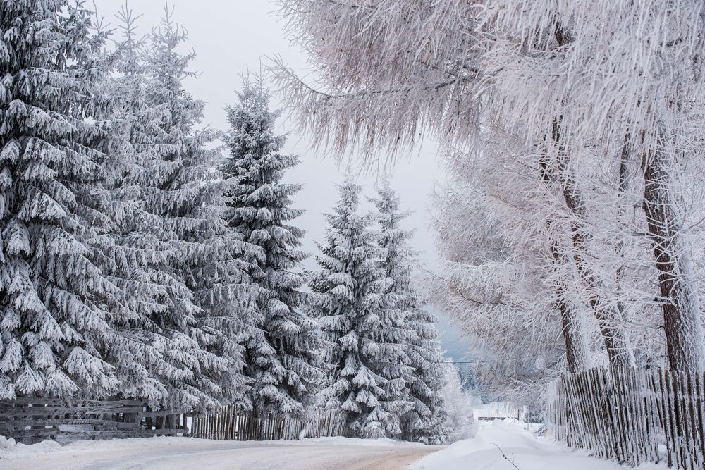 Photograph by levi bagy