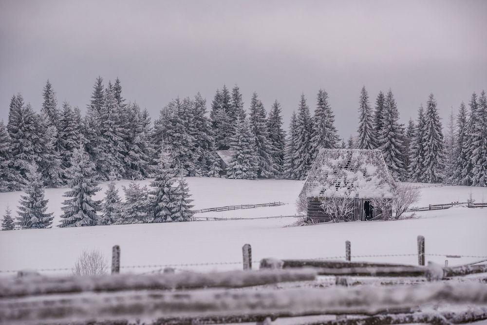 Photograph by levi bagy