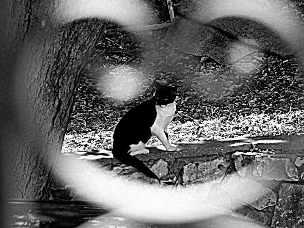 Photograph by Сергей Рапопорт