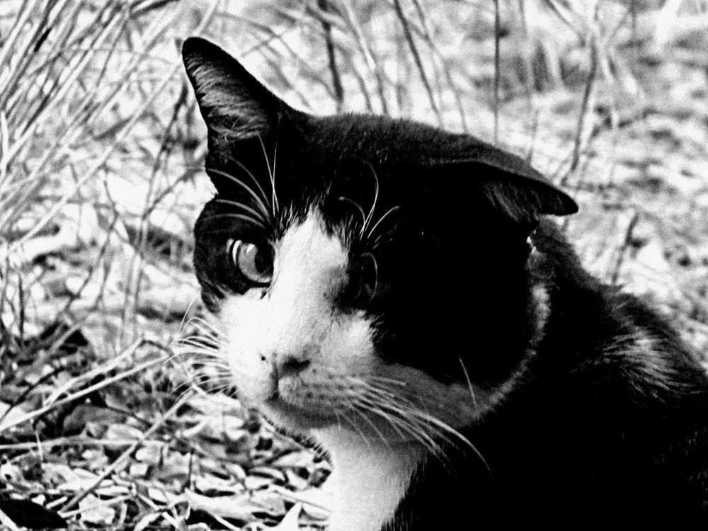 Photograph by Сергей Рапопорт