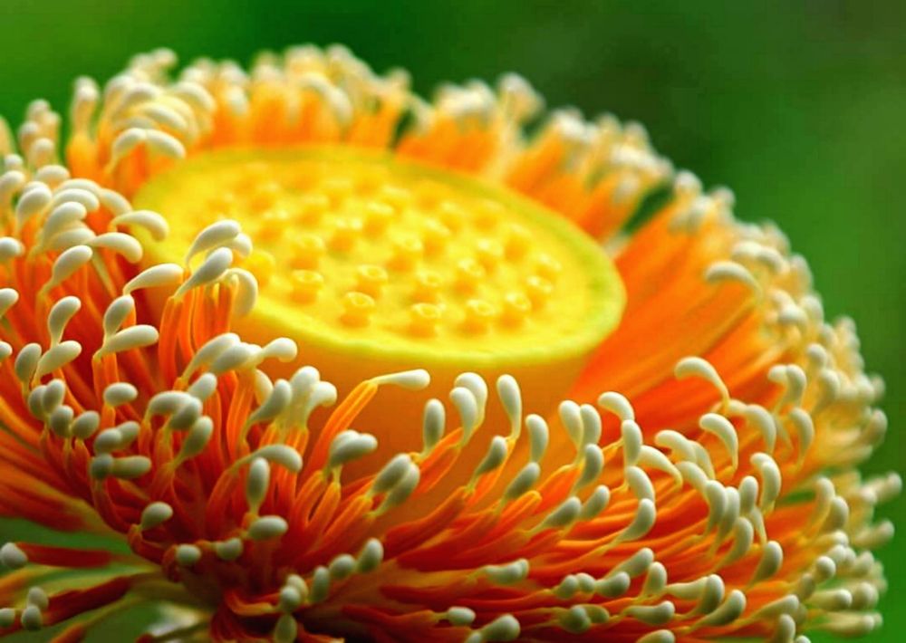 Photograph by Edi Hidayat