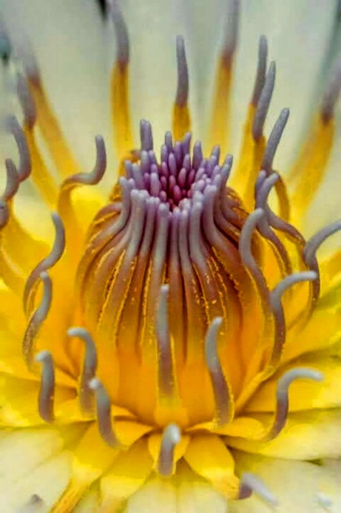 Photograph by Edi Hidayat