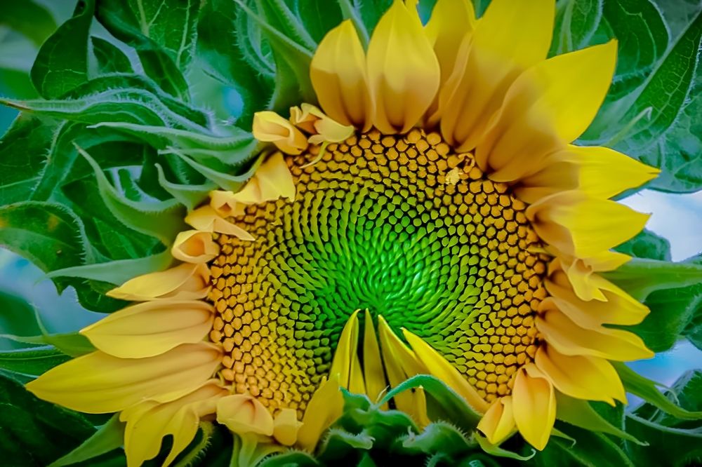 Photograph by Edi Hidayat