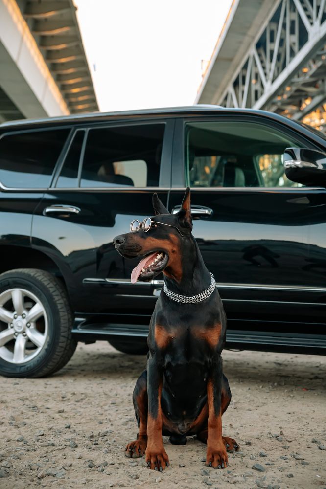 Фотография автора Лукашенко Ольга