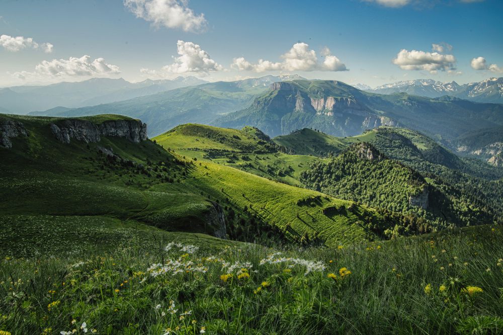 Альпика