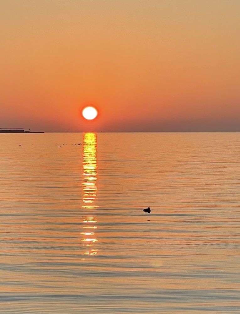 Photograph by Токарева Татьяна