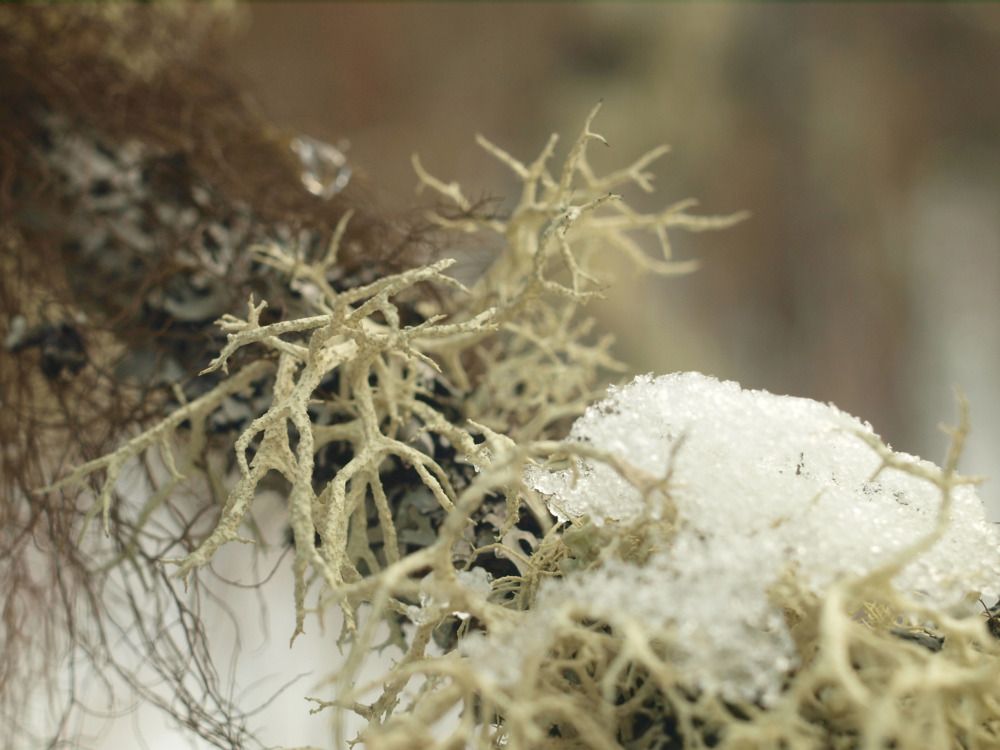 Photograph by Дмитрий Васючков