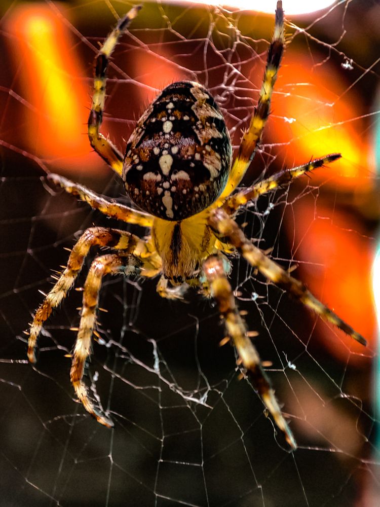 Фотография автора Нина Зинченко