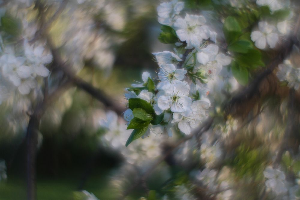 Photograph by Михаил Магнитов