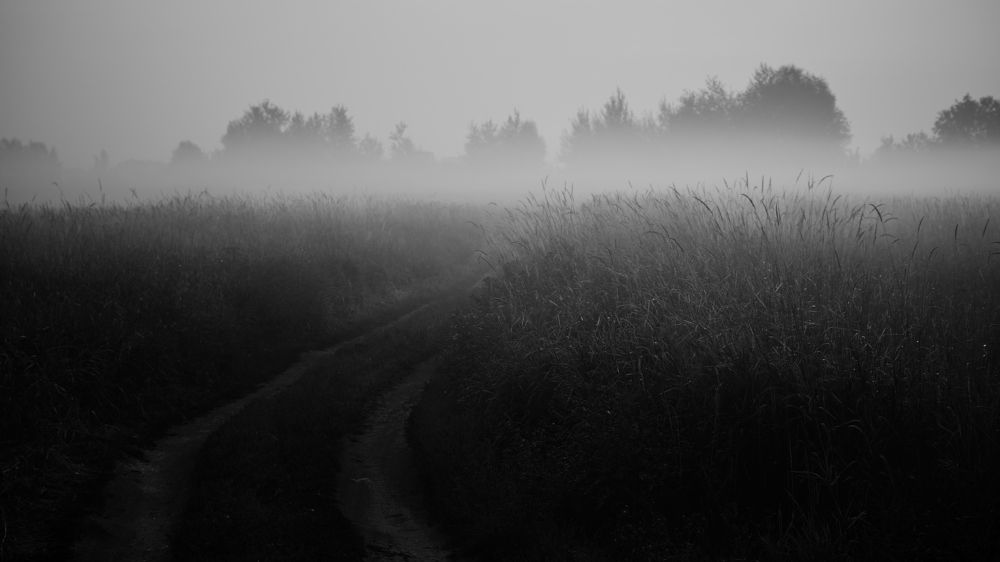 Photograph by Кирилл Колышев