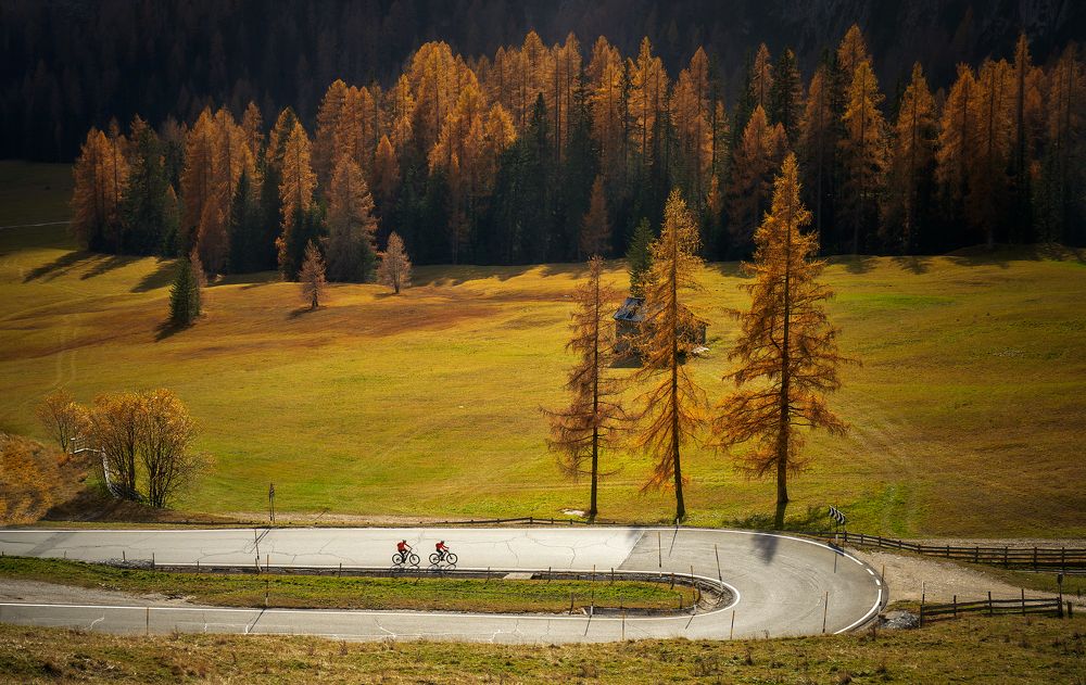 Photograph by Boris Bekelman