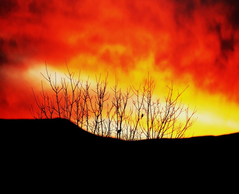 Photograph by mehdi karimi souderjani